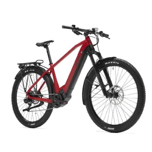 BEEQ M700 Wild ATB