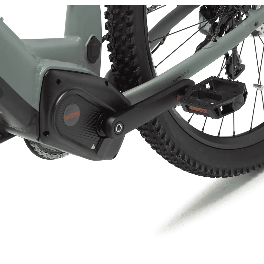 BEEQ M700 Wild - Image 11