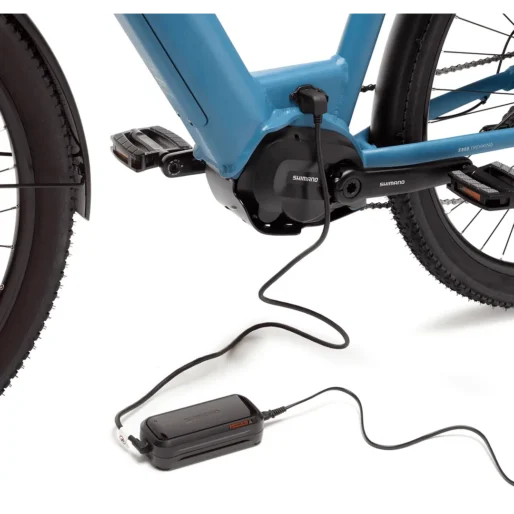 BEEQ  E850 Trekking