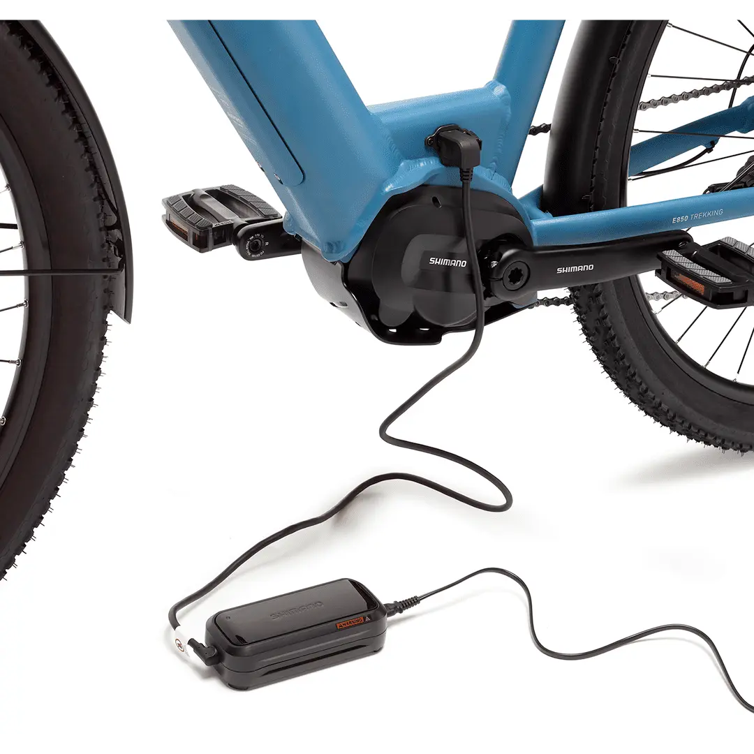 BEEQ E850 Trekking - Image 15