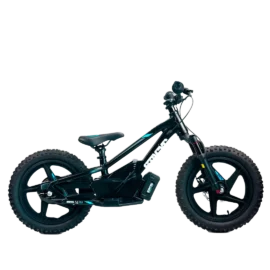 STACYC 16eDRIVE ELITE 36V