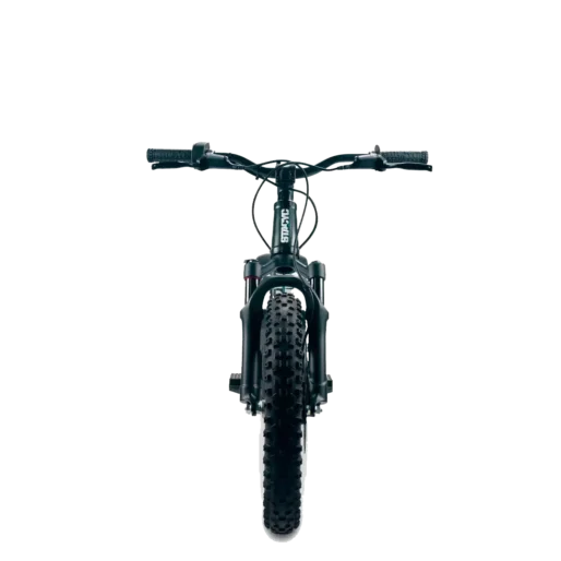 STACYC 16eDRIVE ELITE 36V