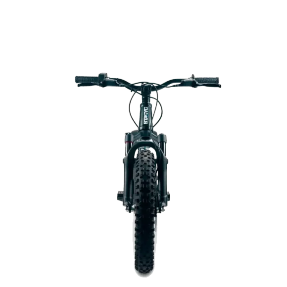 STACYC 16eDRIVE ELITE 36V