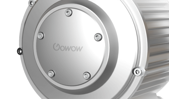 gowow motor
