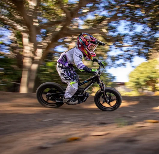 STACYC 16eDRIVE ELITE 36V