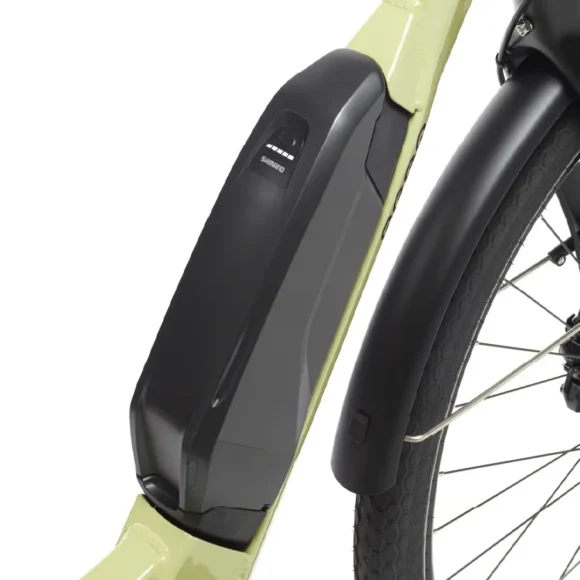 BEEQ  C500 Urban Low Step Ltd Edition