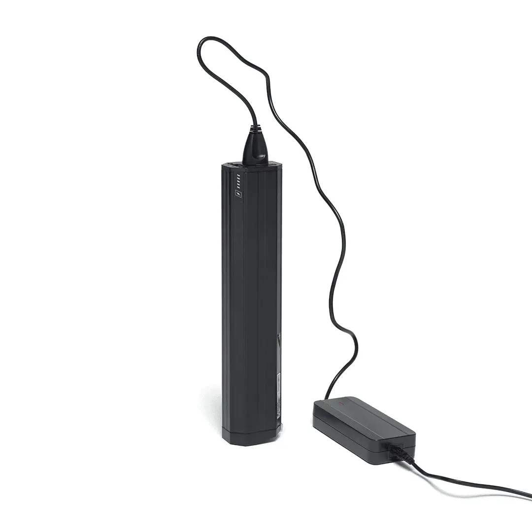 BEEQ M700 Wild ATB - Image 12