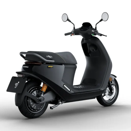 Segway eScooter E300SE